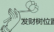 发财树客厅摆放示意图解大全