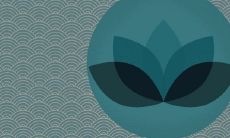 家里院子养荷花有风水忌讳吗