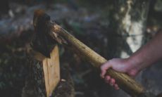 家里伐树有哪些禁忌