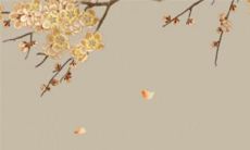 十二生肖2022虎年公历11月份最佳出行吉日 出行吉利日期查询