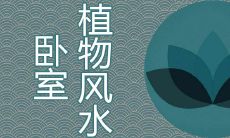 卧室里放什么植物比较好