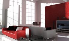 绿植隔断之能代替屏风的植物