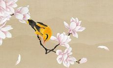 2022年12月5日适合出门游玩吗 出行日子查询