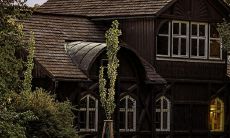 屋后种什么树最旺风水最招财