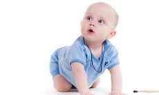 男孩草字头吉利的名字属兔 兔年出生吉祥起名