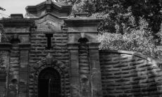 大门两侧种什么树吉祥最旺风水