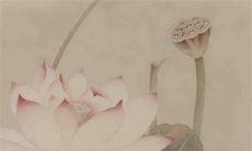 男方给女方送公鸡 婚姻幸福美满