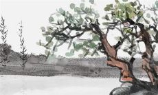 男女订婚互赠什么礼物 送礼定情以示诚意