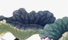 亲妹妹出生当哥还没结婚 幸福与年纪无关