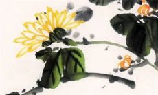 忌属相参加婚礼会有什么影响 对彼此皆有不利