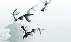 结婚上下车忌属相为什么 影响结婚后运势