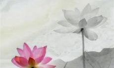 亲戚订婚需要随礼吗 订婚适合送的礼物