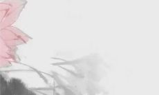 结婚忌讳属相怎么算 避开相冲相克属相