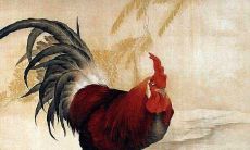 生肖属鸡人2021年几月桃花最旺