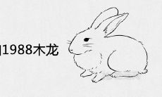 1987火兔和1988木龙结婚好吗 是上等绝配吗