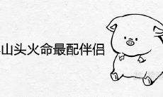 1995年山头火命最配伴侣是什么生肖