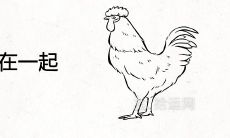 属鸡和属兔在一起真的很倒霉吗 相冲相克对谁不利