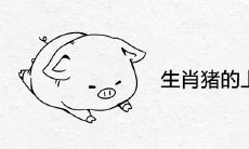 生肖猪的上上等婚配正缘生肖
