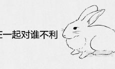 鸡和兔在一起对谁不利 相冲相克的婚配结果