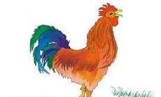 1969年属鸡的2022年事业工作运势如何