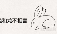 几月份的兔和龙不相害可以做夫妻