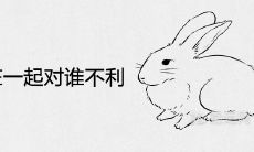 兔和鸡在一起对谁不利 相配的婚姻状况