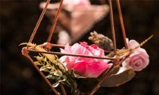 2022年7月3日宜婚嫁吗 农历六月初五日子好不好