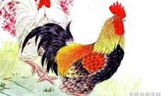 生肖属鸡开什么颜色的车最好最吉利