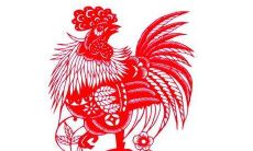 2023年属鸡人会发生什么大事 哪些方面需要多注意