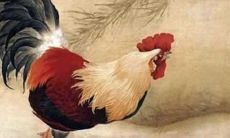 生肖猴的2021年生牛宝宝好吗 对运势有何影响