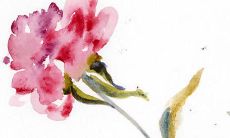 2022年5月28日动土日子好吗 今日日子好不好