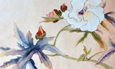 2022年6月4日动土好不好 是建房动土吉利日子吗