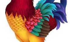 2022年两个属鸡人结婚好不好 生肖鸡虎年成家怎么样