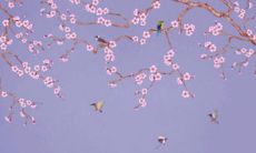 2022年6月7日开工动土吉利吗 这天建房合不合适