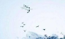 2023年1月2日是宜开业的吉日吗 黄历宜忌查询