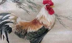 属鸡的职场幸运星是谁 什么生肖是属鸡幸运星