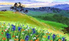 揭秘:能给家中带来好风水的植物