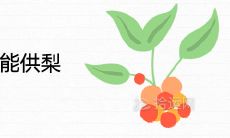 供果为什么不能供梨 有哪些民俗寓意