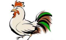 1993年属鸡人2022年生虎宝宝怎么样