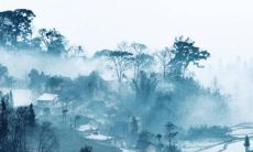 2022年5月9日可以动土吗 老黄历查询