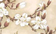 2022年5月17日可以动土吗 老黄历查询