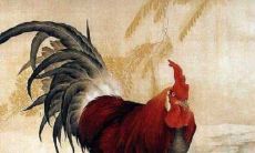 2021年10月属鸡人运势如何 2021年属鸡10月运势及运程解读