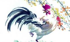 1993年属鸡的人2021年有什么劫难