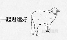 属羊人跟谁一起财运好