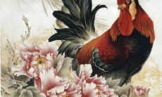 属鸡人有什么缺点 属鸡人最大的弱点