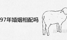 91年和97年婚姻相配吗 结婚八字合不合