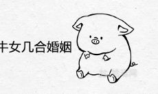 95猪男配97牛女是几合婚姻 属于上等婚配吗