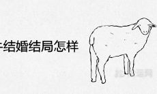 男羊女牛结婚结局怎样 适合做夫妻吗