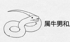 属牛男和属蛇女在一起好不好 婚姻相配怎么样