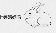 兔男兔女是上等婚姻吗 在一起合财吗